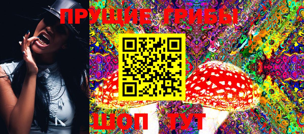 Псилоцибиновые грибы Psilocybine cubensis  Вход с VPN  где можно купить   Кольчугино 